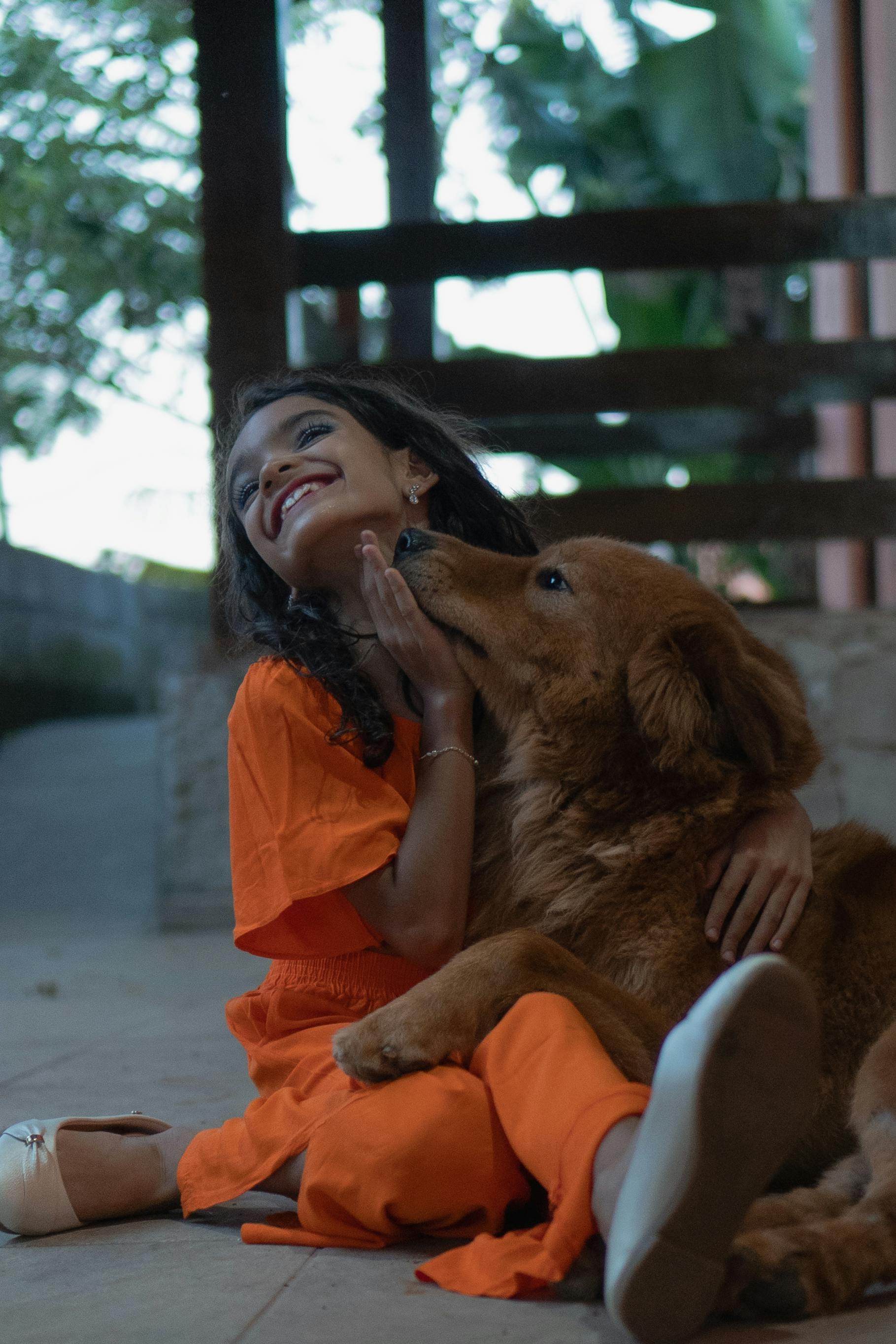 《风暴对局：北境狼群》海报